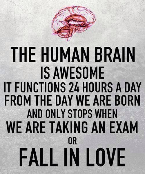 Human brain is awesome
